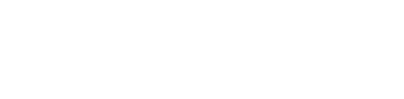 The Surfus Foundation